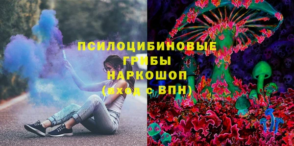 прущие грибы Лагань