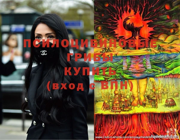 гидропоника Лабытнанги