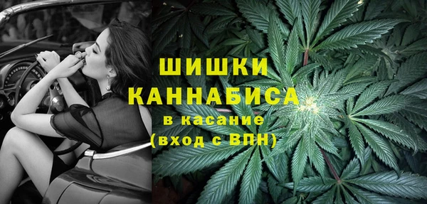 прущие грибы Лагань