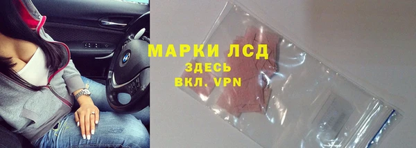 прущие грибы Лагань