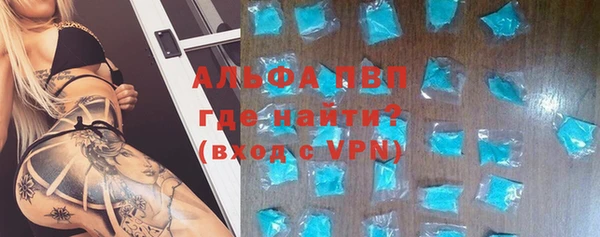 прущие грибы Лагань