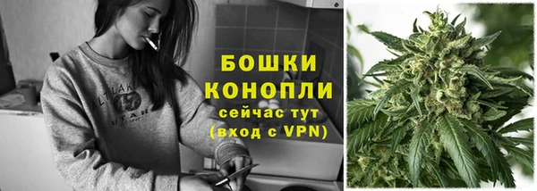 прущие грибы Лагань