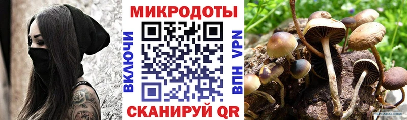 Псилоцибиновые грибы GOLDEN TEACHER  Купить где  Новотроицк 